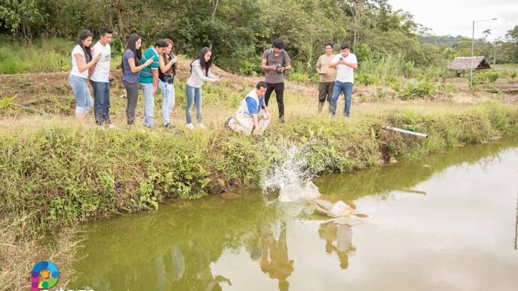 Banner del lugar turístico Asociación Tarqui Peces Gigantes