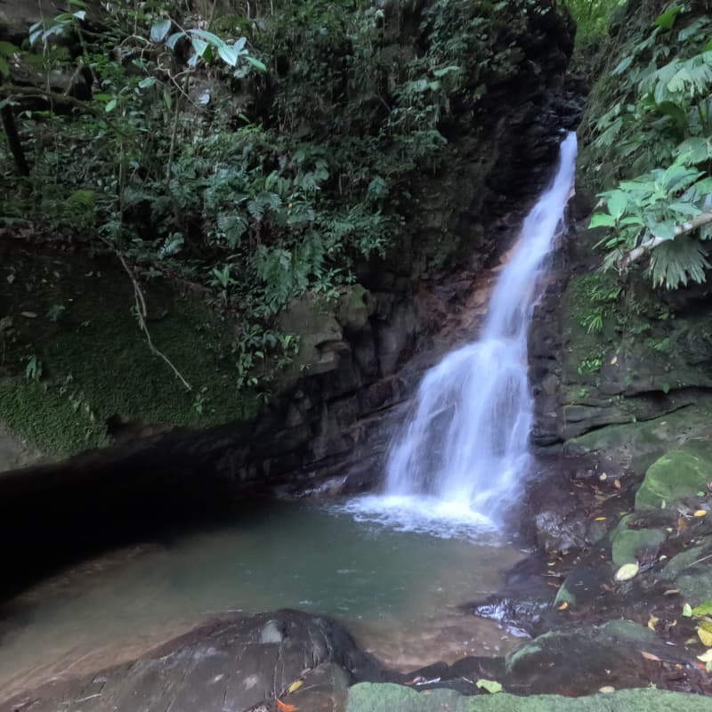 Cascada en medio de naturaleza