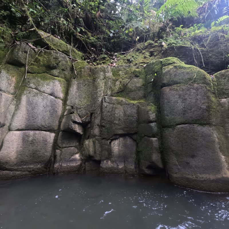 Fósiles milenarios en piedra tallado