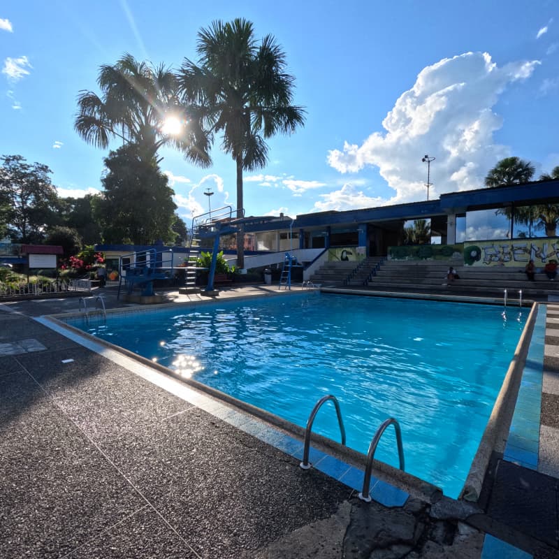 Piscina para niños junto a palmeras