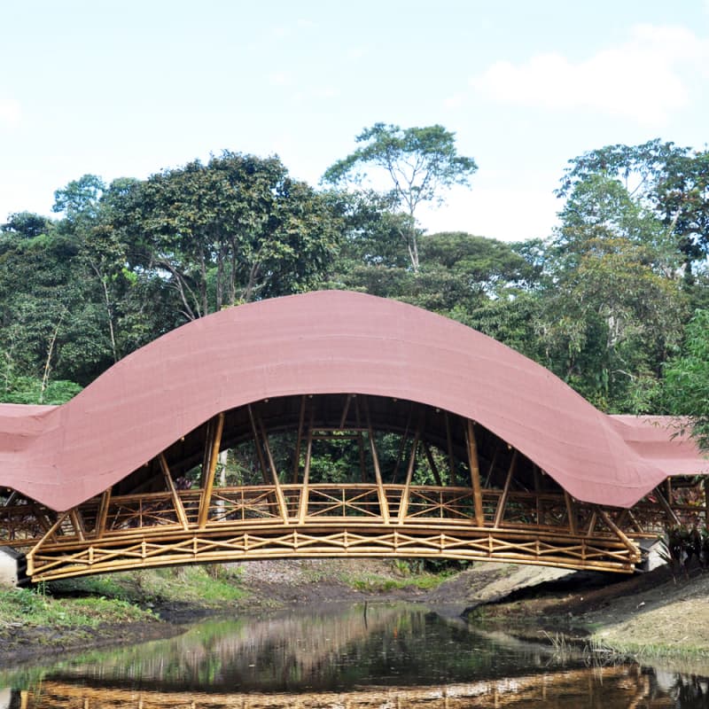 Puente colgante de guadua sobre lagos