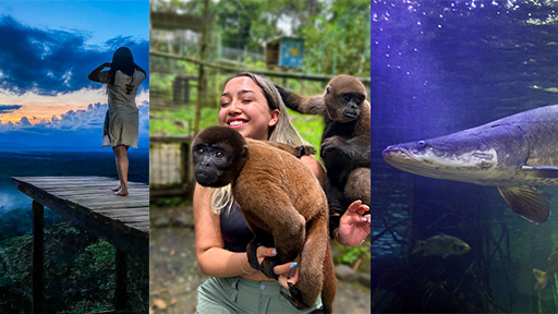Animales, naturaleza y Cultura