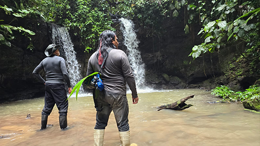 Selva de Villano Pandanuke